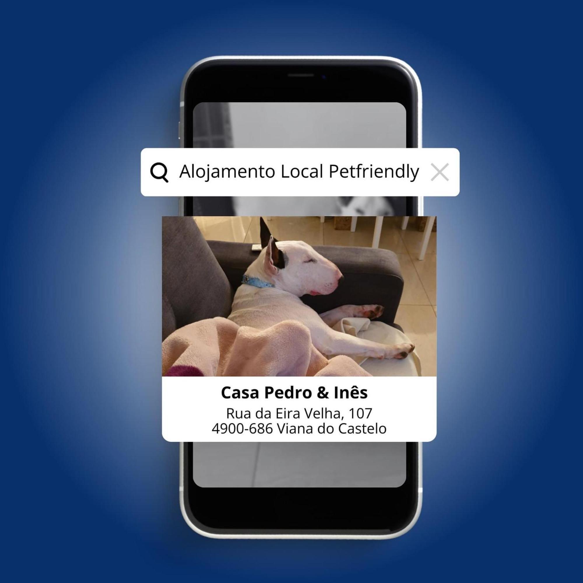 فيلا Casa Pedro E Ines فيانا دو كاستيلو المظهر الخارجي الصورة