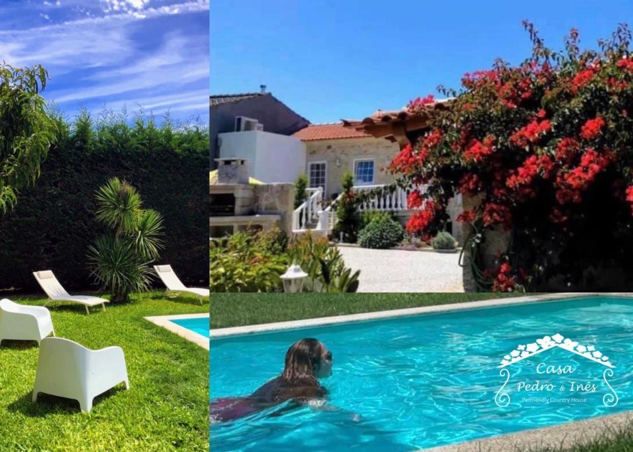 فيلا Casa Pedro E Ines فيانا دو كاستيلو المظهر الخارجي الصورة